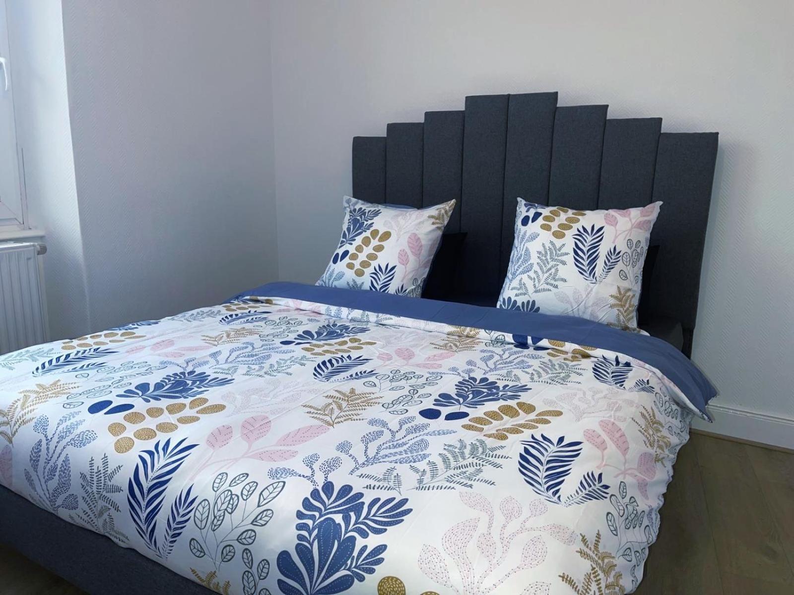 Magnifique Appartement Charmant T3 80M2 Parking Gratuit Rosheim Extérieur photo
